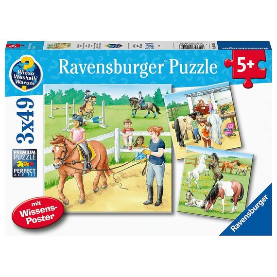 Puzzle Ein Tag auf dem Reiterhof