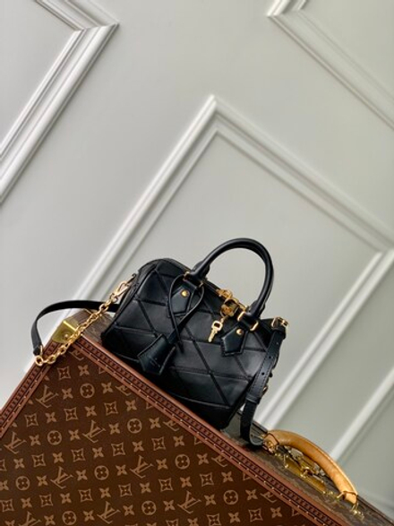 Louis Vuitton Speedy 20