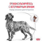 Royal Canin Hepatic Canine Гепатик канин Корм сухой диета для собак для поддержания функции печени 6кг