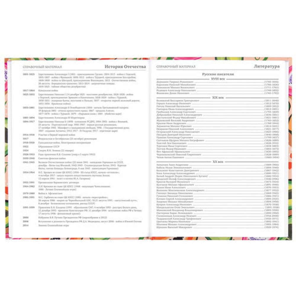 Дневник 5-11 класс 48 л., твердый, BRAUBERG, глянцевая ламинация, с подсказом, "Fruits", 106404