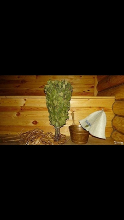 Веник березовый