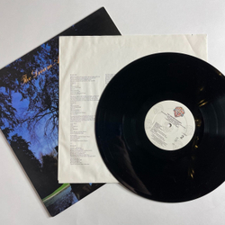 Винтажная виниловая пластинка LP The Dream Academy (USA 1985)