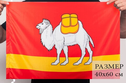 Флаг Челябинской области 40x60 см