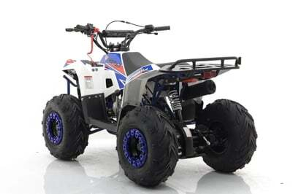 Квадроцикл MOTAX Grizlik A110