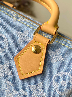 Louis Vuitton Nano Speedy