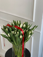 Тюльпаны классика - белый цвет