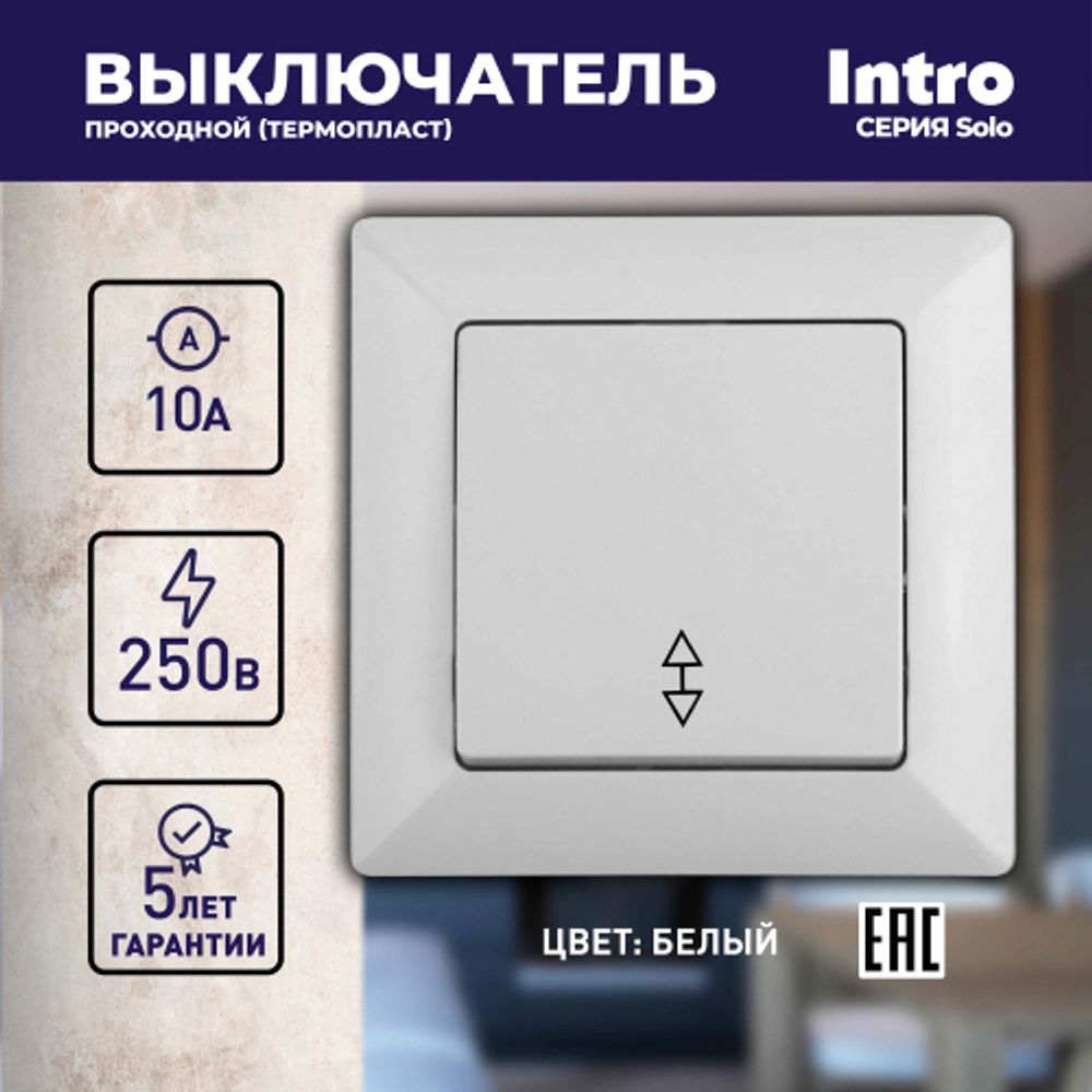 Переключатель Intro Solo 4-103-01 одноклавишный 10А-250В, IP20, СУ, белый