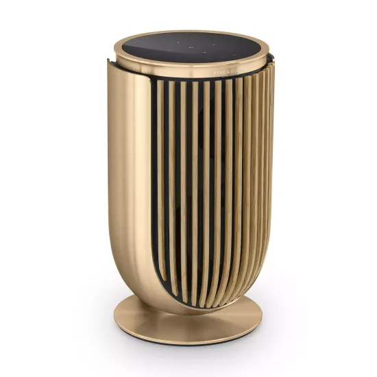 Bang & Olufsen Beolab 8 Gold Tone/Oak, TS