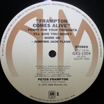 Peter Frampton / Frampton Comes Alive! (2LP)
