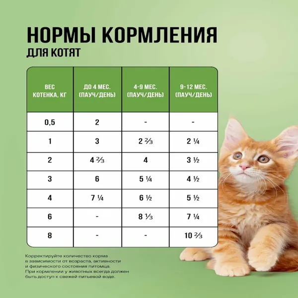 Пауч BOWL WOW для котят и беременных кошек с ягненком и овощами, кусочки в соусе