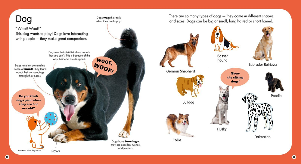 First Animals. Clever Encyclopedia