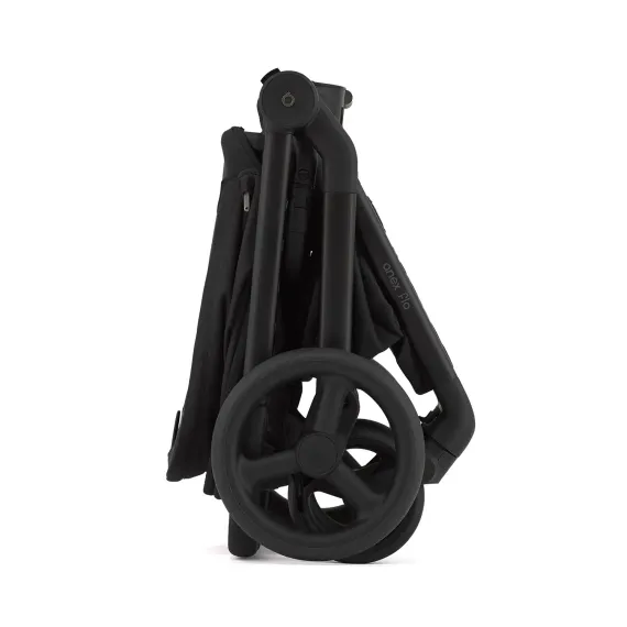 Коляска ANEX Flo 2 в 1 Lungo