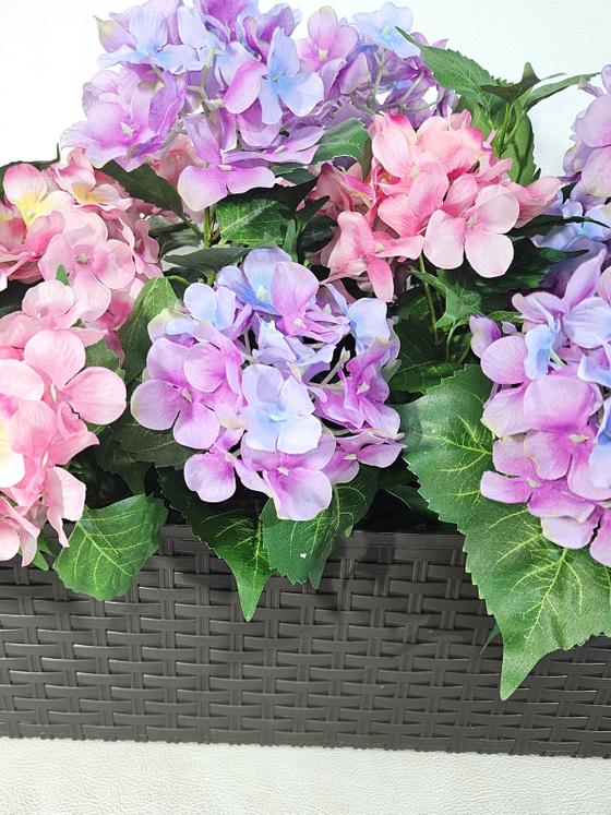 Гортензия розово-лиловая 70см в балконном ящике