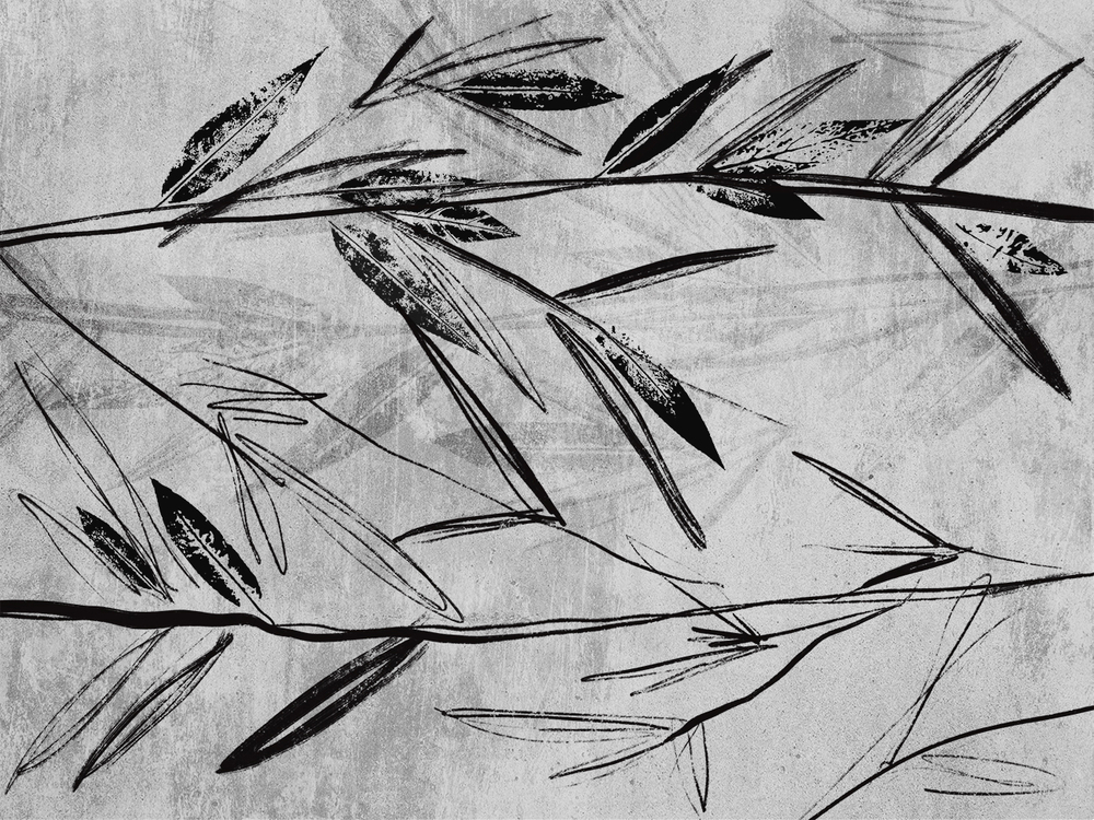 Коллекция ROCKART