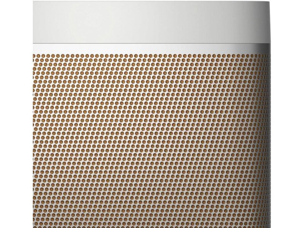 Портативная акустика Bang & Olufsen Beolit 20 Grey Mist