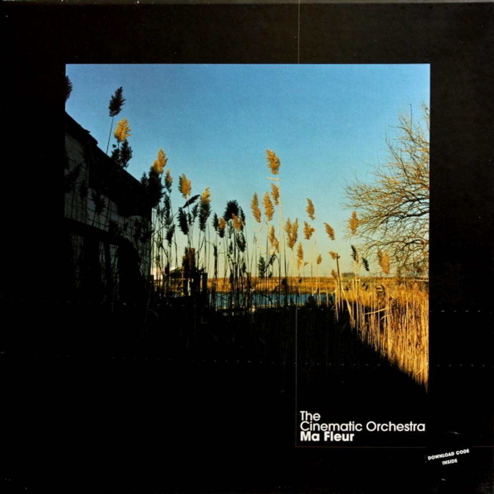 The Cinematic Orchestra / Ma Fleur (2LP)