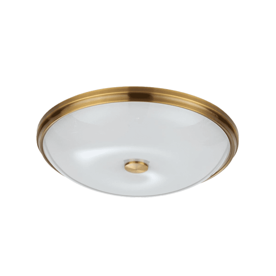 Потолочный светильник Odeon Light Walli Pelow 4956/5