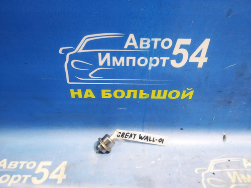 Регулятор давления топлива Great Wall SAFE 2008