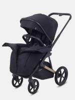 Коляска 2 в 1 Rant Garda