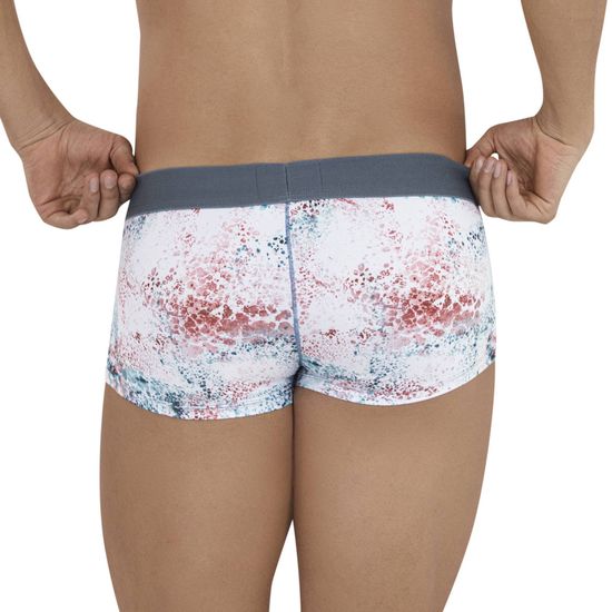 Мужские трусы хипсы с принтом Clever SACRED BOXER 113201