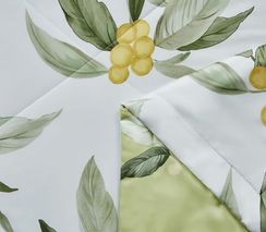 Одеяло ЛЕТНЕЕ 100% Тенсель 1816 Asabella