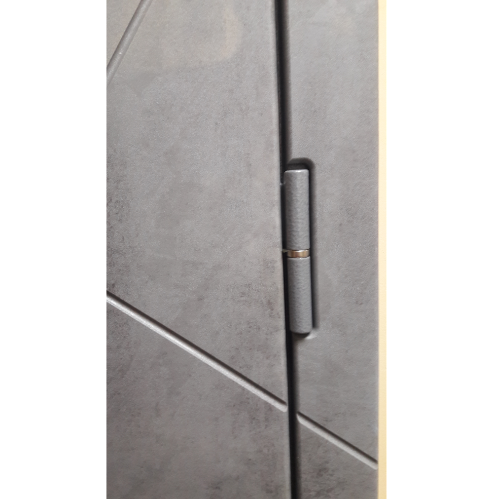 Входная металлическая дверь  с зеркалом RеX (РЕКС) 22 Бетон темный / ФЛ-117 Орех итальянский