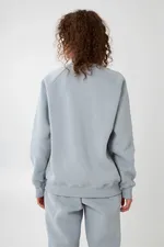 Толстовка Свитшот Helgi Ingvarr Серая