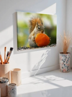 Картина на стену 40 X 50 Белка