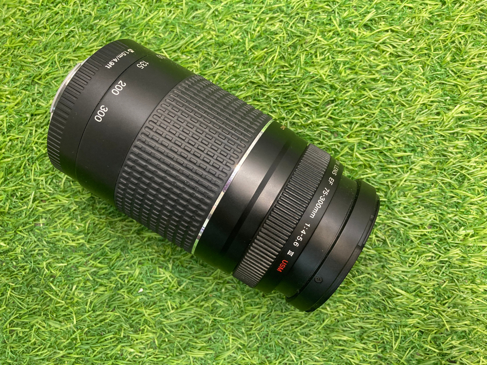 Canon EF 75-300mm 4-5.6 III USM