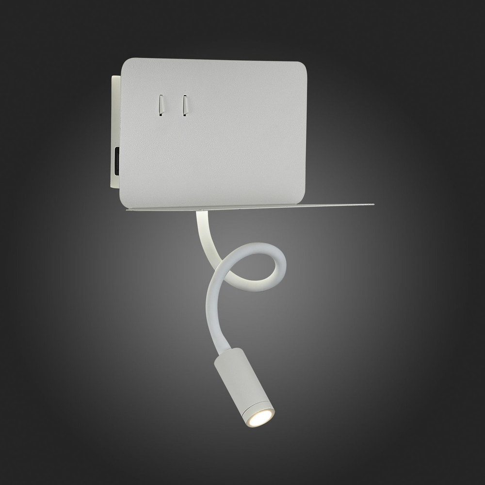 Светильник настенный ST Luce SL1576.501.02