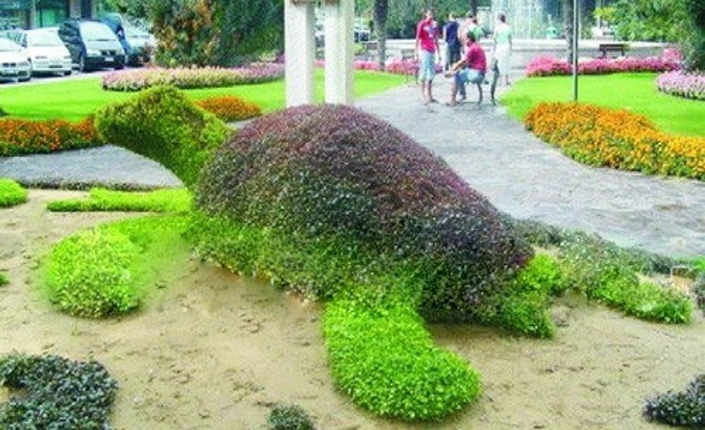 Топиарная фигура Морская черепаха