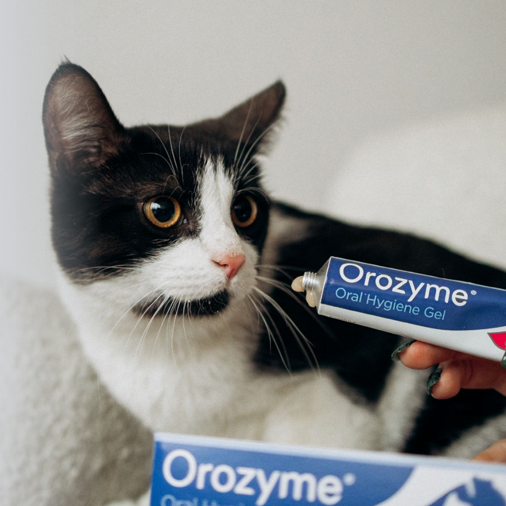 Гель для ухода за полостью рта собак и кошек Orozyme
