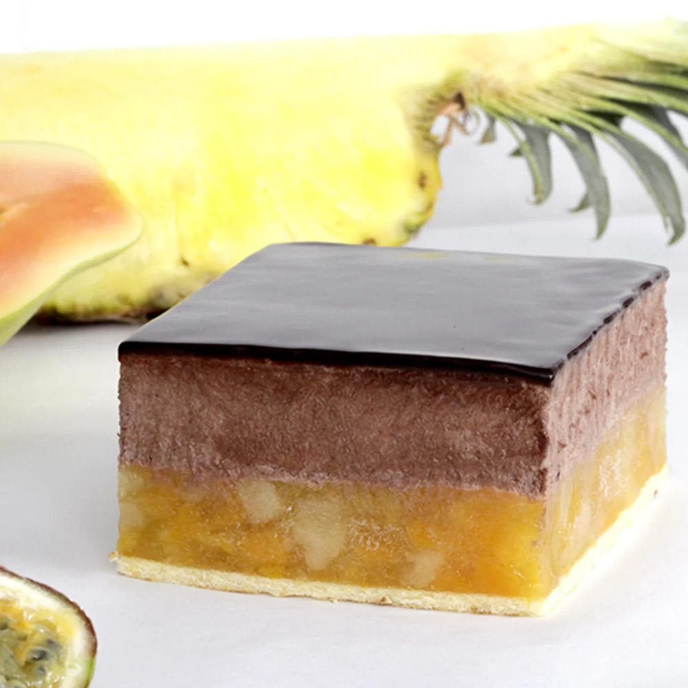 Начинка FRUTTIDOR TROPICAL Тропические фрукты, Irca, Италия, 500гр