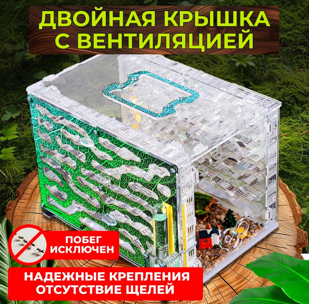 Самый Большой Формикарий с муравьями в подарок «Экосистема»