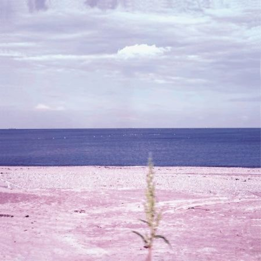 Альбом JEONG MILL A - LONGING IS A DISEASE 1st Album