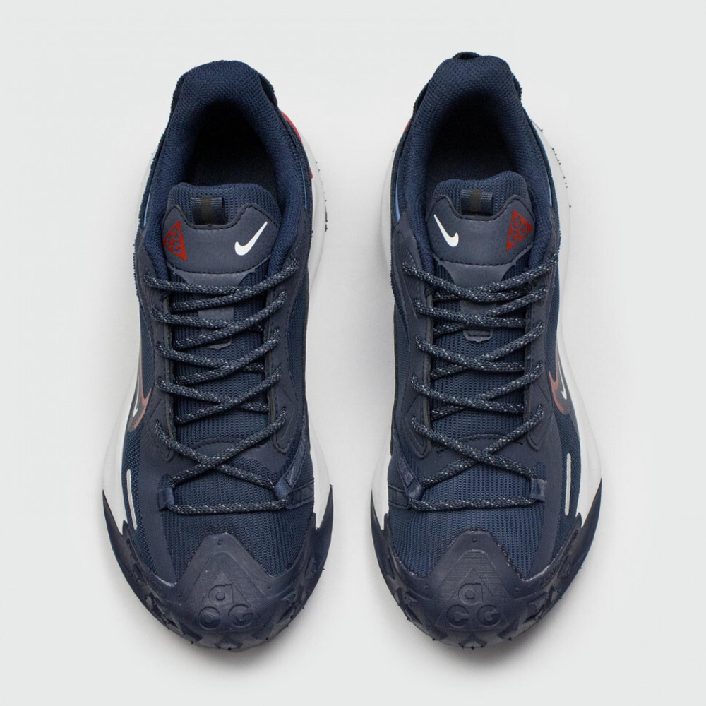 кроссовки Nike ACG Mountain Fly 2 Low Gtx Blue / White