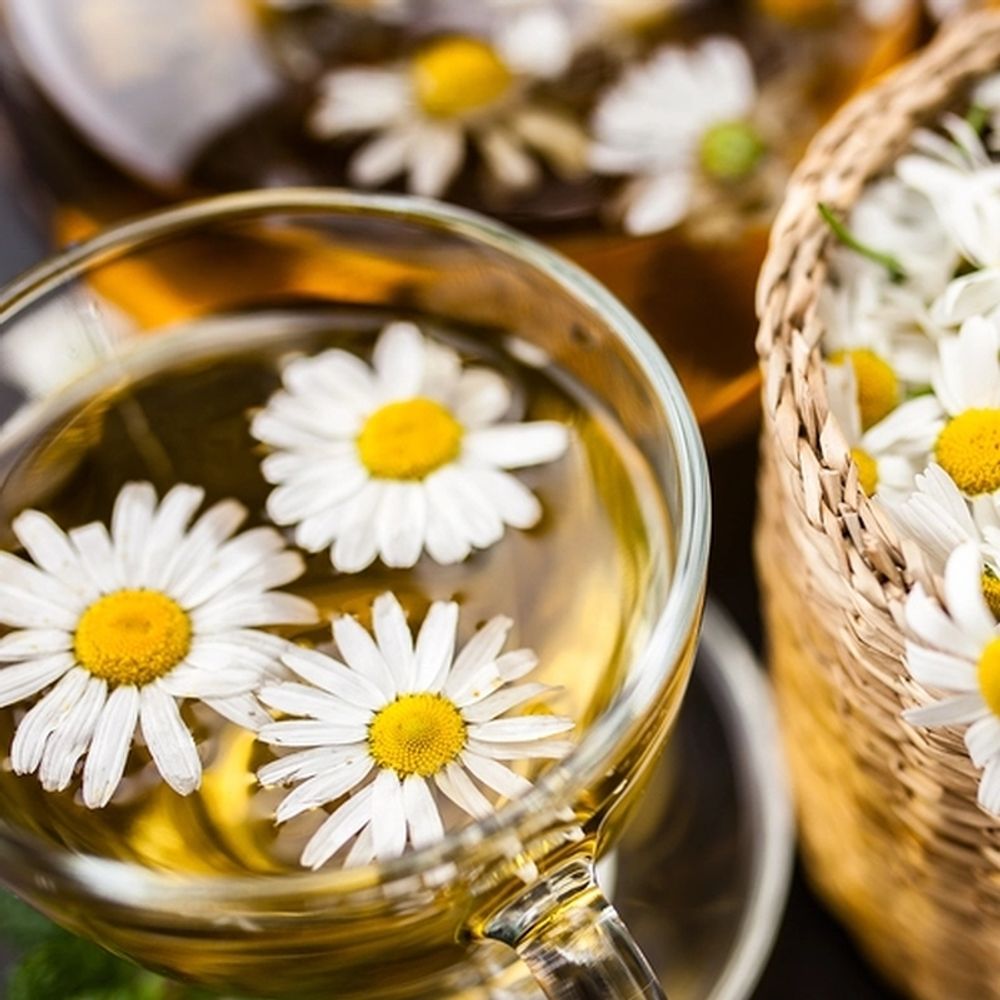 Ромашковый чай (Chamomile Tea)