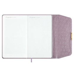 7dae56a8_b7b8_11ef_ba9b_d05099d5d12d_c51a69c4_a398_11f0_baba_d05099d5d12d