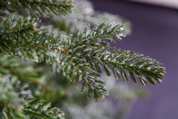 Ель 230см Black Box Хрустальная заснеженная