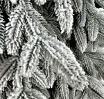 Заснеженная елка «Моника» (Литая хвоя) 230 см / 2,3 м