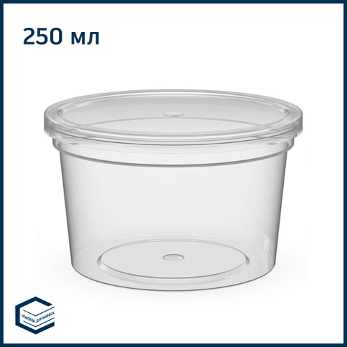 Контейнер из полимеров с крышкой, 250 мл