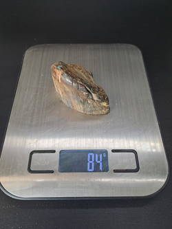 Бивень мамонта для коллекции и поделок