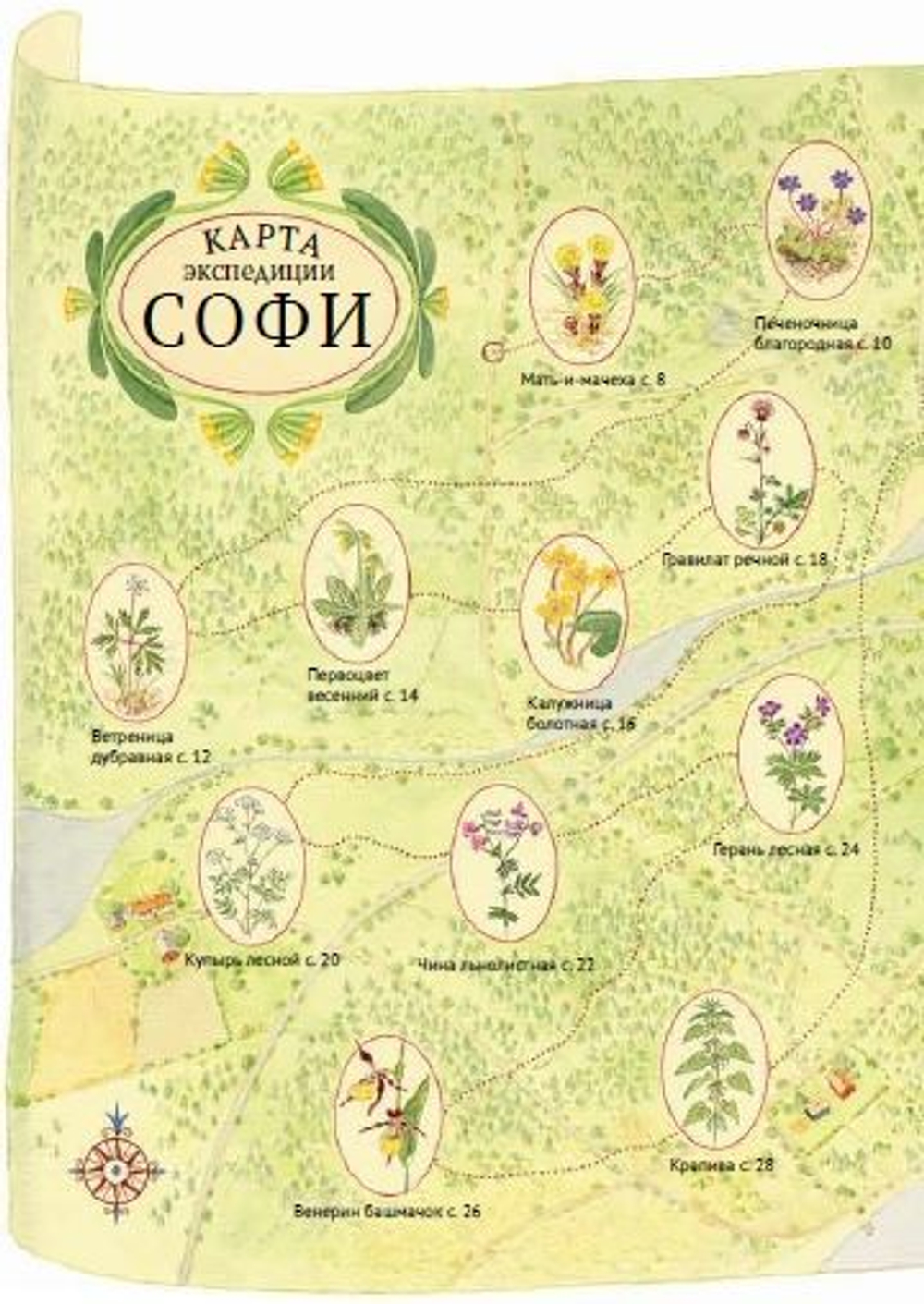 Софи в мире цветов
