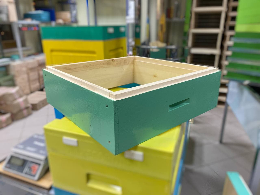 Магазин 12 рамочный (липа) крашеный