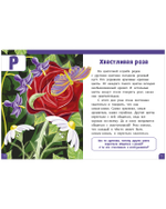 Развивайся и играй! Азбука. Большая книга игр и заданий