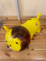 Прыгун ЛЕВ гимнастический 49*50 см арт. 132585