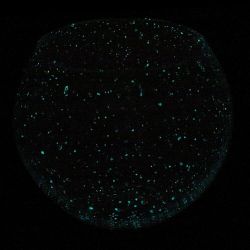 GAEM Ваза светящаяся в темноте, 6200 мл, L24 W24 H20,5 см