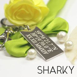 Брелок с координатами с гравировкой на заказ