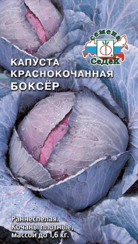 капуста Боксёр