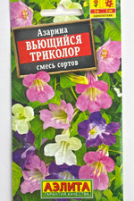 Азарина Вьющийся триколор, смесь сортов СМЦ-933